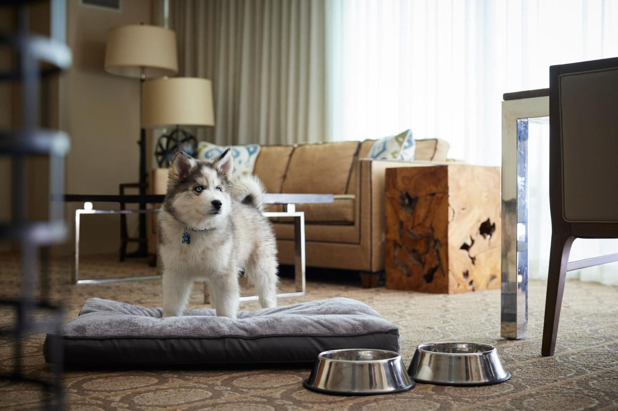 Denver Marriott Westminster Ngoại thất bức ảnh